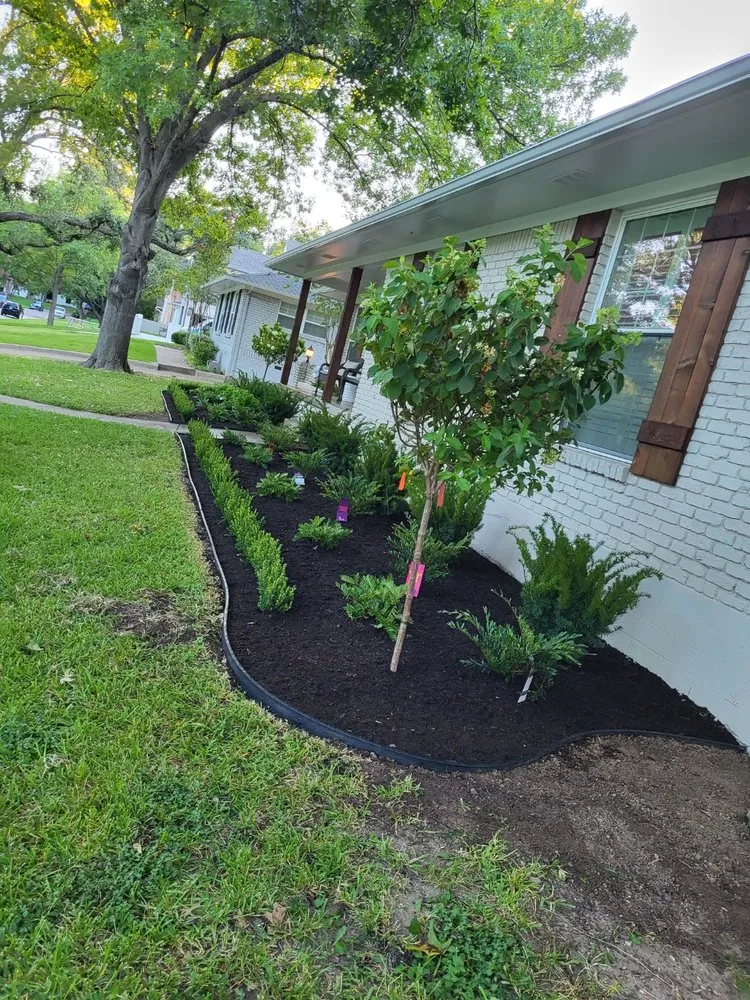 Local yard cleanup service experts serving Mabank, TX - Peralta's Landscaping