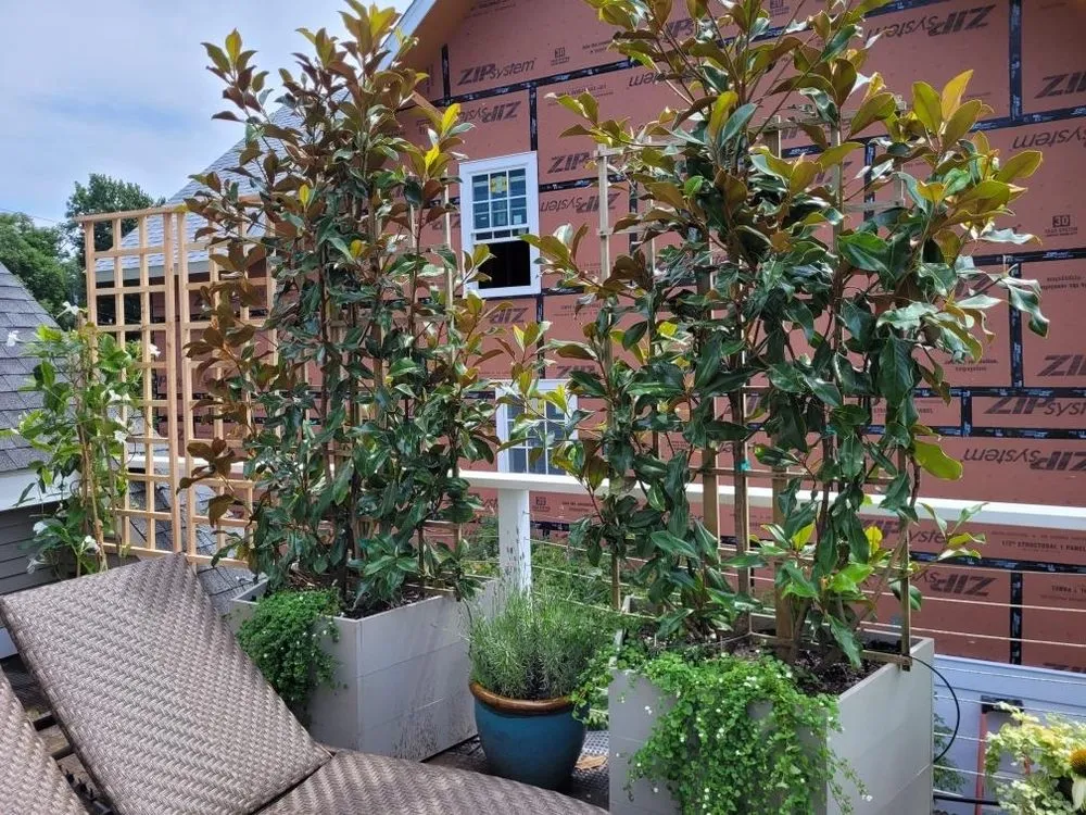 Local landscaping services near you in Carmel Hamlet, NY by Perception Horticulture