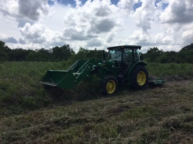 Professional landscape design for beautiful yards across Pearland, TX - Percheron Land Care