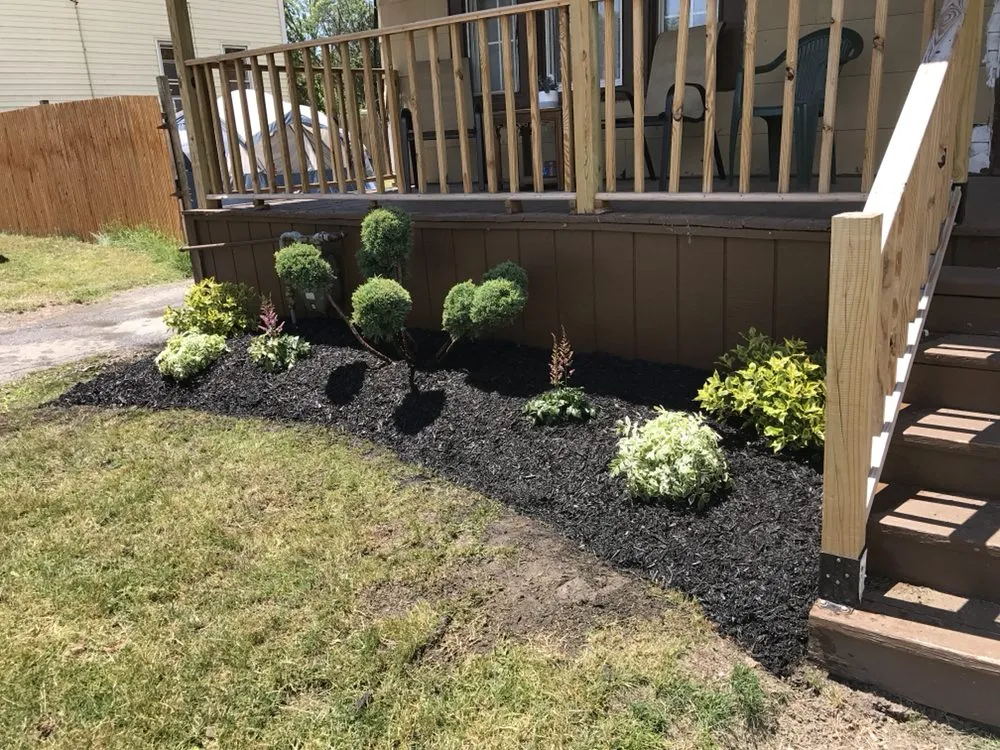 Affordable lawn mowing service in Buffalo, NY by Percy's Lawn Care and Son