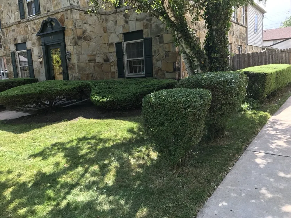 Reliable yard cleanup service for outdoor upgrades across Buffalo, NY - Percy's Lawn Care and Son