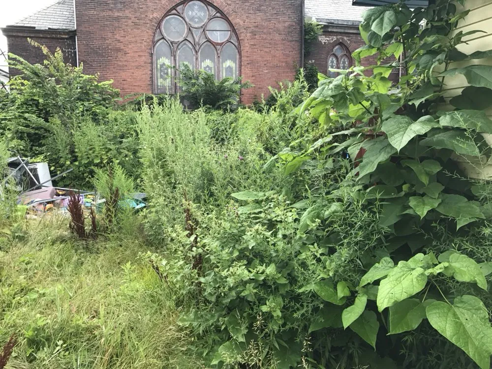 Affordable landscape installation in Buffalo, NY by Percy's Lawn Care and Son