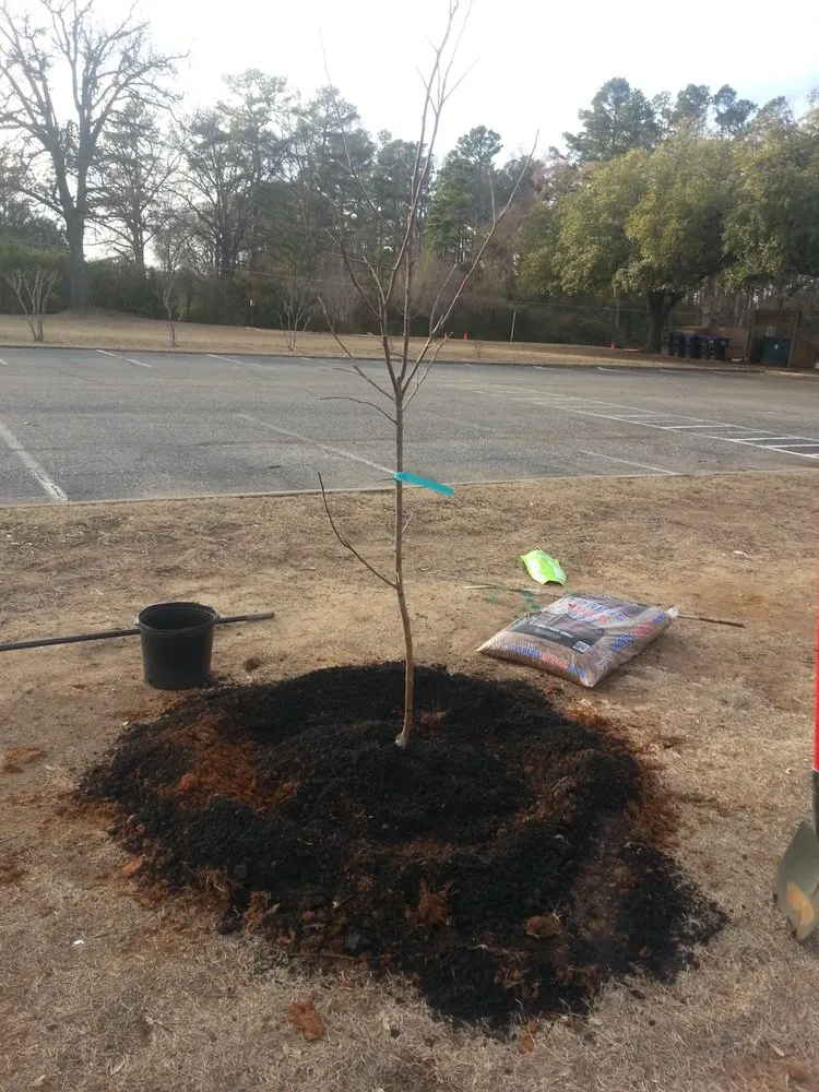 Top-rated garden landscaping in Lillian, AL by Perdido Bay Marine and Landscaping