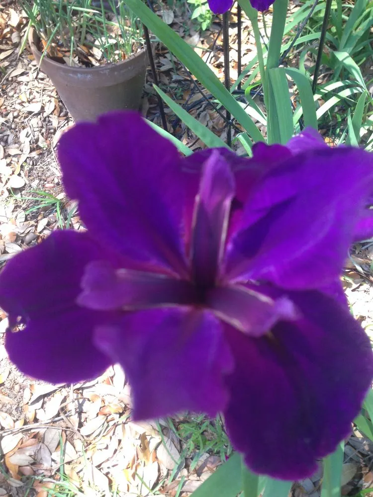 Trusted landscape installation in Lillian, AL by Perdido Bay Marine and Landscaping