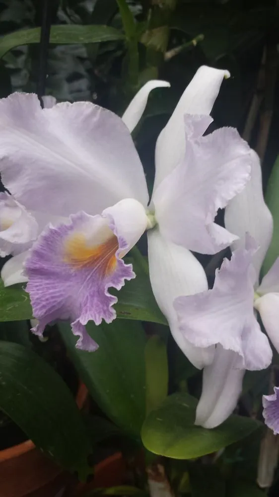 Reliable landscape installation in Lillian, AL - Perdido Bay Marine and Landscaping