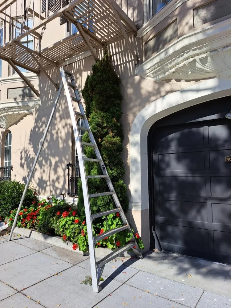 Trusted yard maintenance in Concord, CA by Perdomo Gardening Services