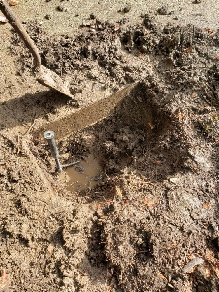 Trusted yard cleanup service in Concord, CA by Perdomo Gardening Services