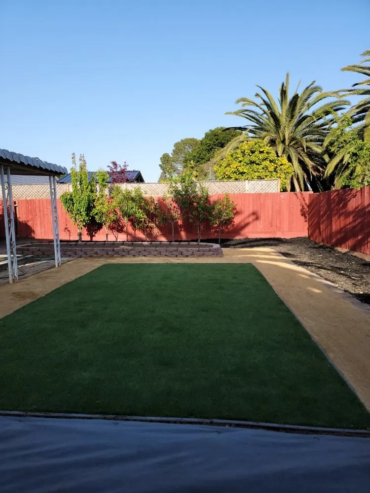 Expert yard cleanup service for beautiful yards in Concord, CA by Perdomo Gardening Services