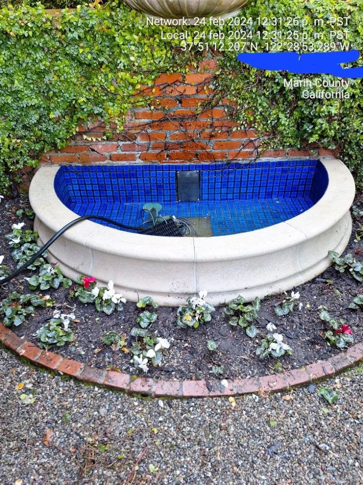 Affordable landscaping services in Concord, CA by Perdomo Gardening Services