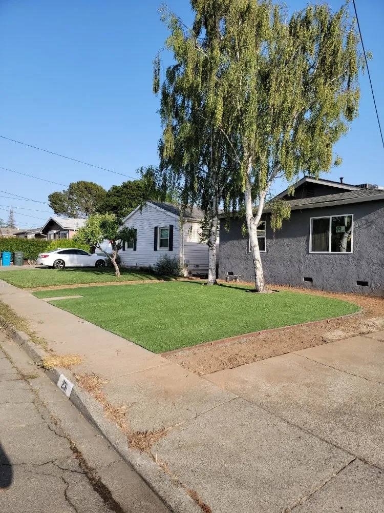 Affordable yard cleanup service in Concord, CA - Perdomo Gardening Services