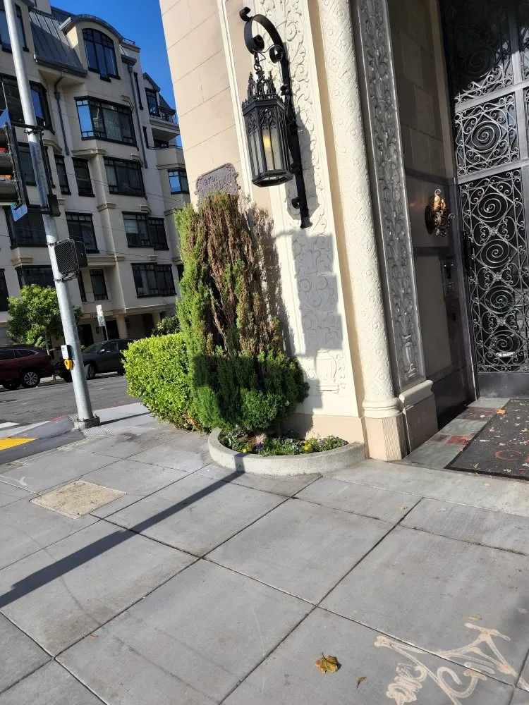 Reliable garden landscaping for outdoor upgrades in Concord, CA by Perdomo Gardening Services