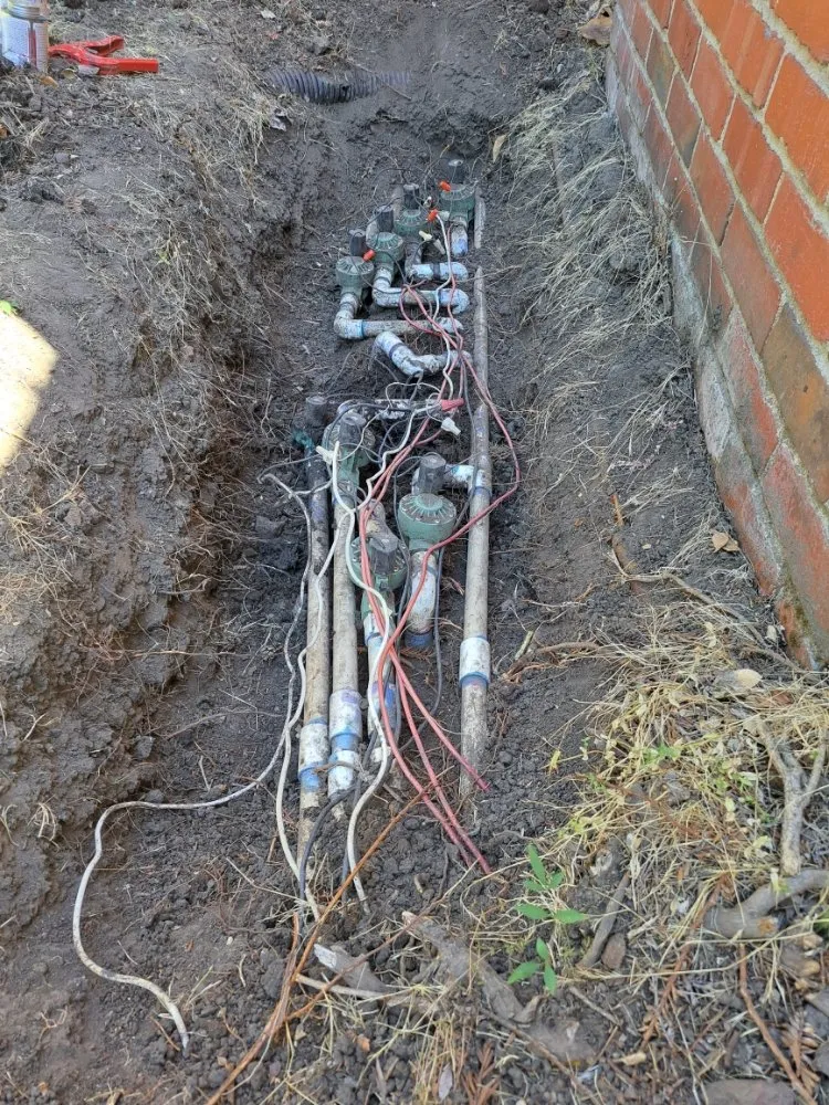 Affordable lawn care service for homes across Concord, CA - Perdomo Gardening Services