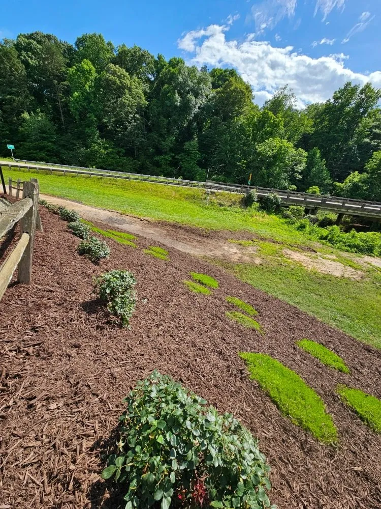 Reliable yard cleanup service in Gainesville, GA by Perdomo's Landscaping