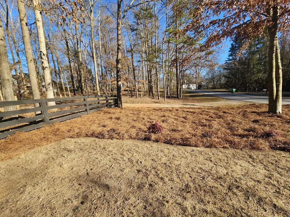 Local residential landscaping near you in Gainesville, GA by Perdomo's Landscaping