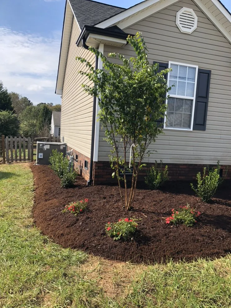 Affordable yard cleanup service in Locust, NC - Pereas Landscape