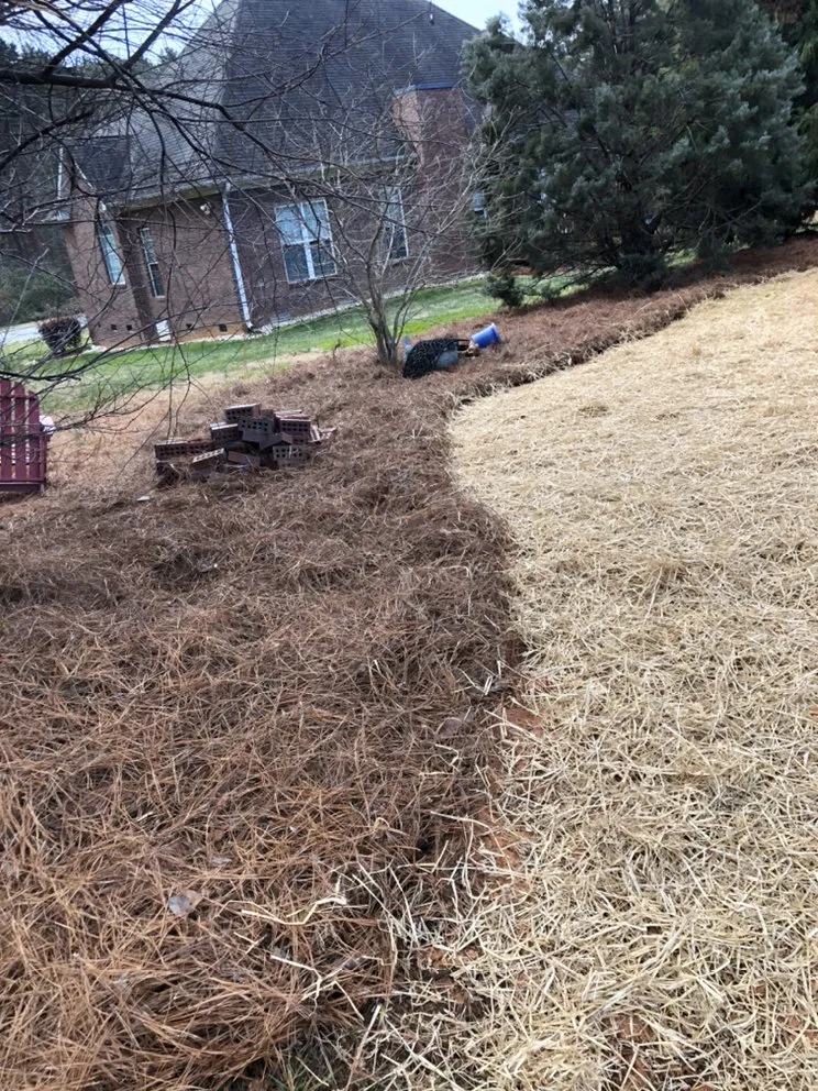 Professional garden landscaping for year-round maintenance across Locust, NC - Pereas Landscape