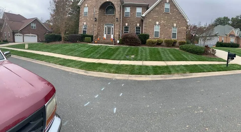 Expert yard cleanup service experts serving Locust, NC - Pereas Landscape