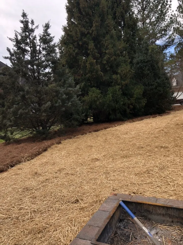 Professional landscape design for homes in Locust, NC by Pereas Landscape