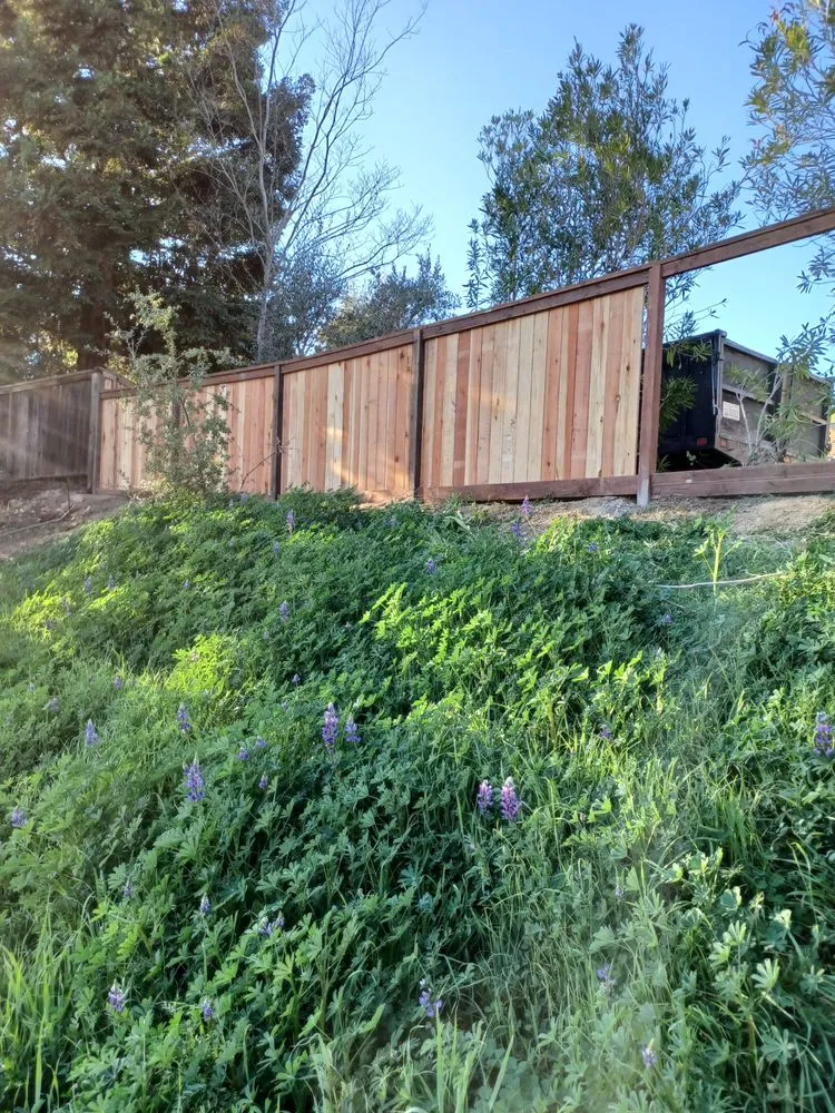 Expert yard maintenance in Antioch, CA by Perea's Landscaping