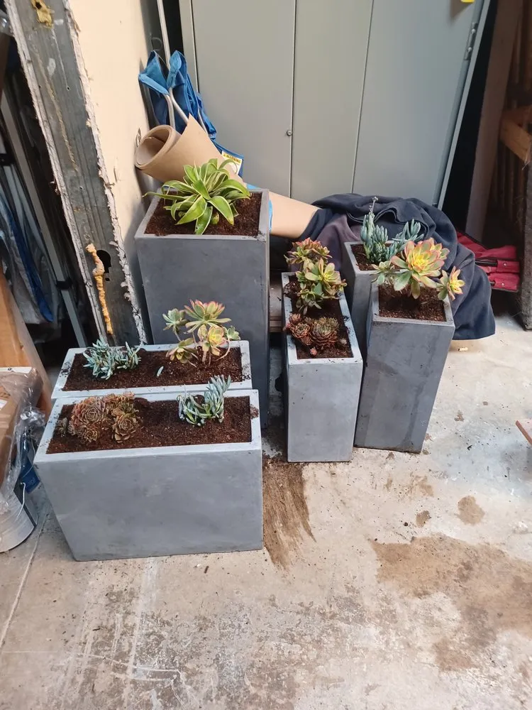 Professional yard maintenance experts serving Antioch, CA - Perea's Landscaping