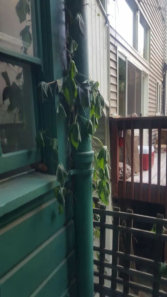 Expert lawn mowing service experts serving Tulare, CA - Peredo Custom Landscaping