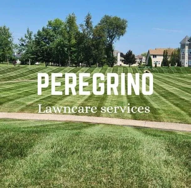 Reliable lawn mowing service for beautiful yards across Rockford, IL - Peregrino Lawncare Services