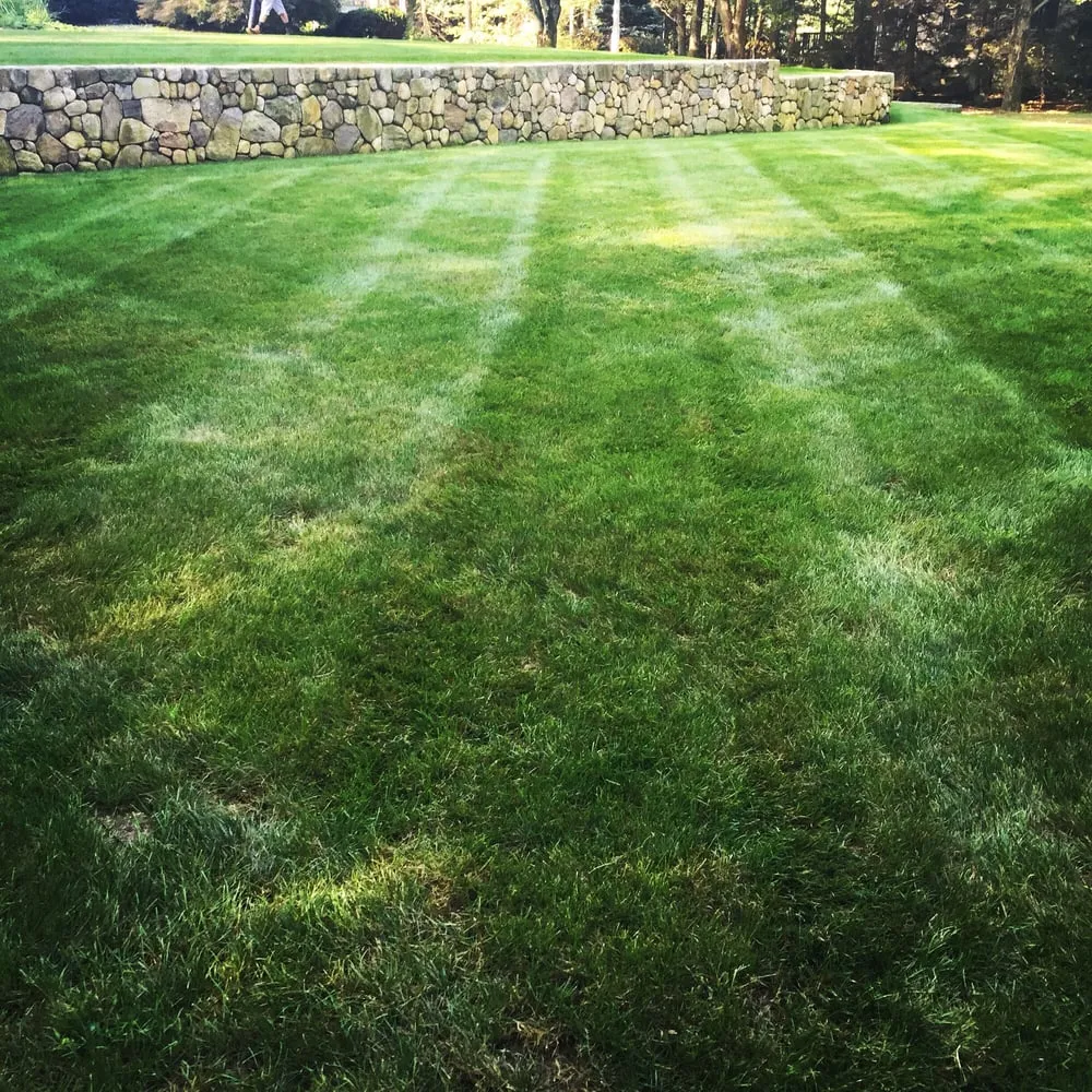 Custom lawn care service experts serving Hudson, MA - Pereira Landscaping