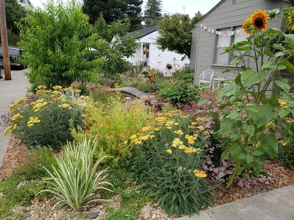 Top-rated lawn mowing service in Santa Rosa, CA by Perennial Abundance Permaculture