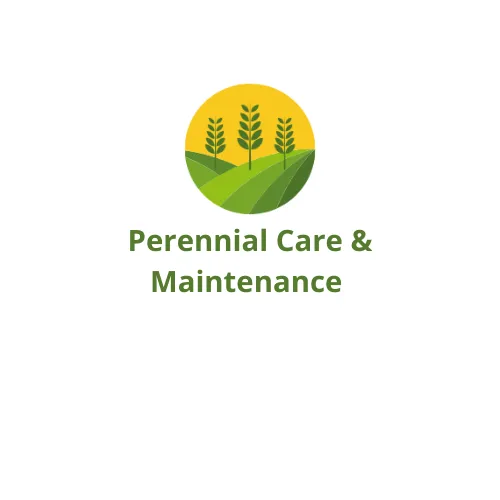 Expert garden landscaping for beautiful yards in Alsip, IL by Perennial Care & Maintenance