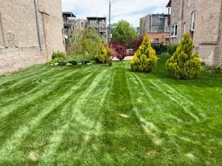 Expert garden landscaping for homes in Alsip, IL by Perennial Care & Maintenance