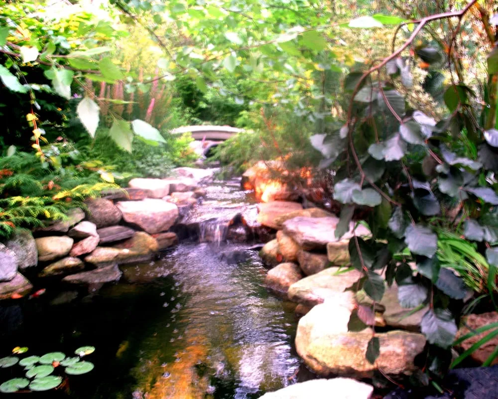 Professional yard cleanup service for homes across Medway, MA - Perennial Connection