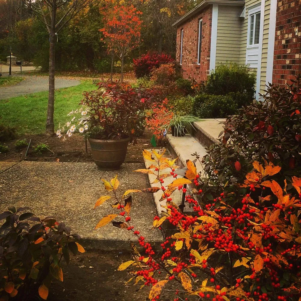 Custom outdoor landscaping near you across Medway, MA - Perennial Connection