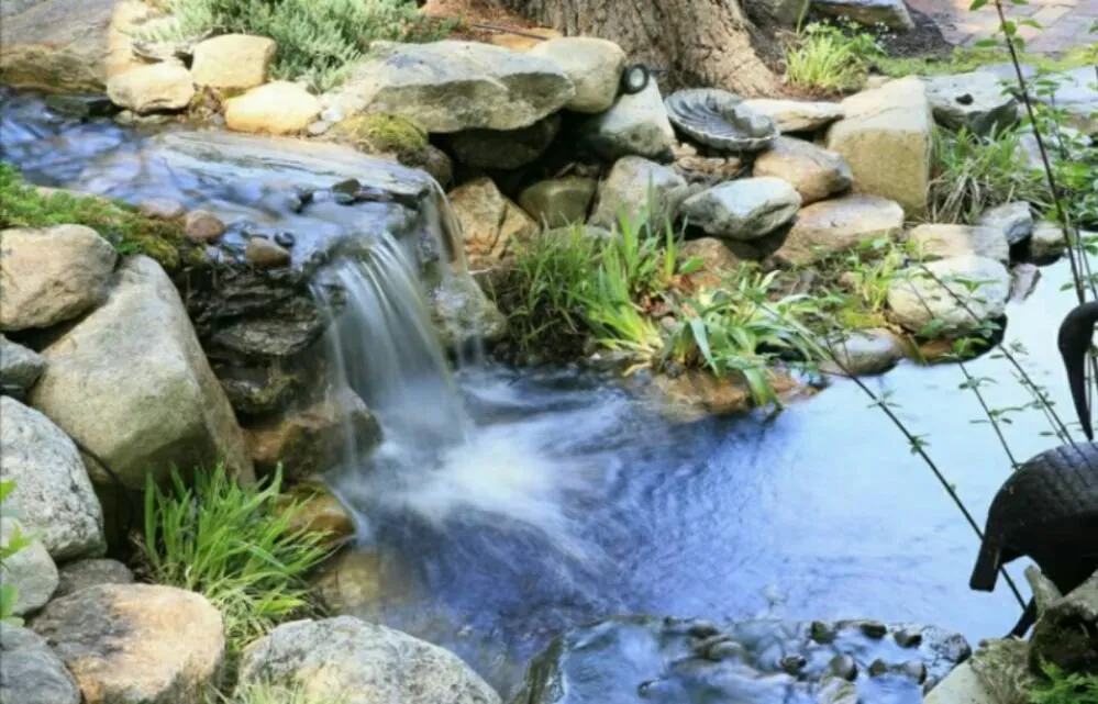 Professional outdoor landscaping in Medway, MA - Perennial Connection