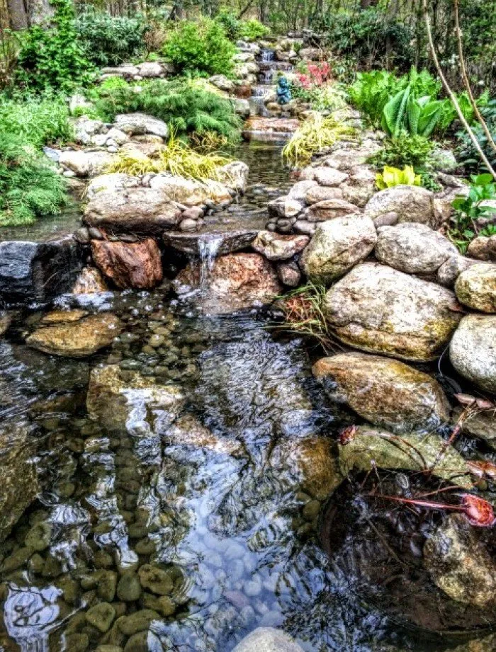 Expert yard cleanup service in Medway, MA - Perennial Connection