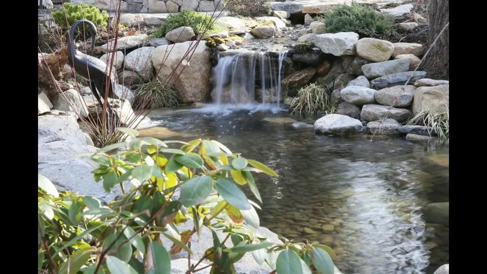 Professional landscape design for year-round maintenance in Medway, MA by Perennial Connection