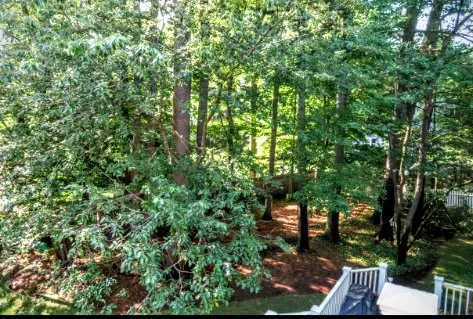 Custom landscape installation in Medway, MA - Perennial Connection