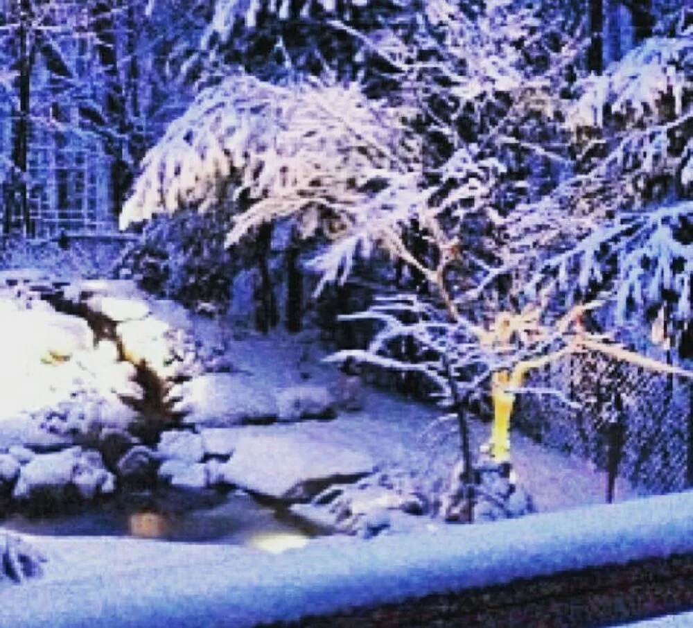 Custom yard maintenance for year-round maintenance across Medway, MA - Perennial Connection