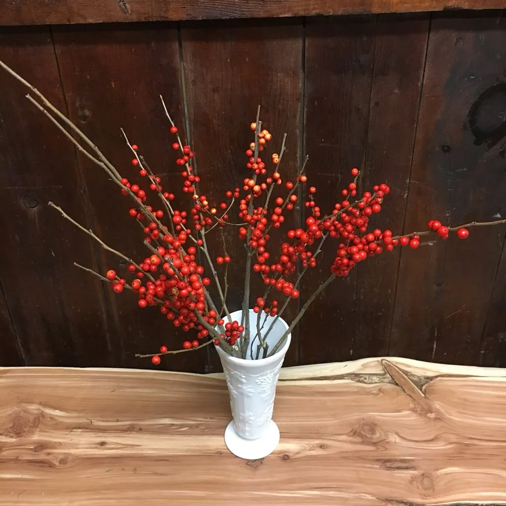 Custom yard cleanup service near you in East Lyme, CT by Perennial Harmony