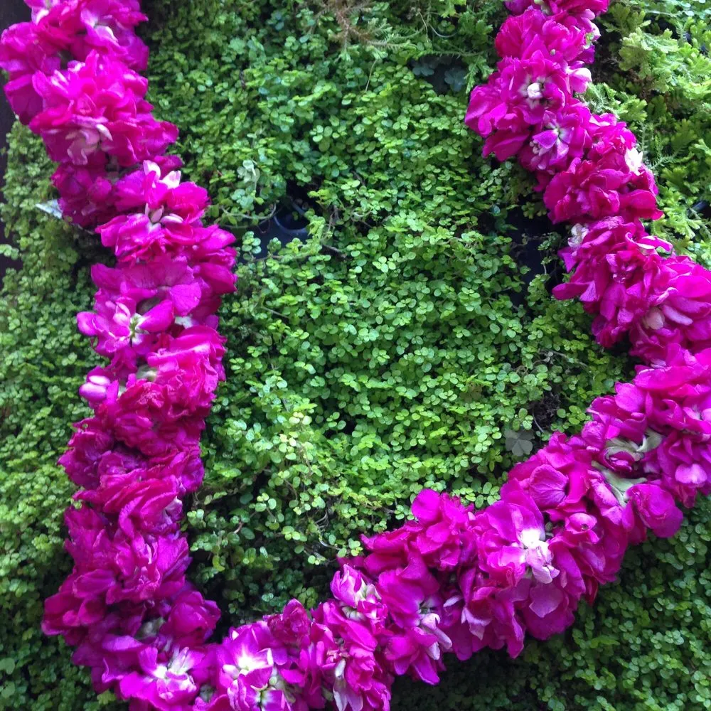 Professional outdoor landscaping for outdoor upgrades in East Lyme, CT by Perennial Harmony