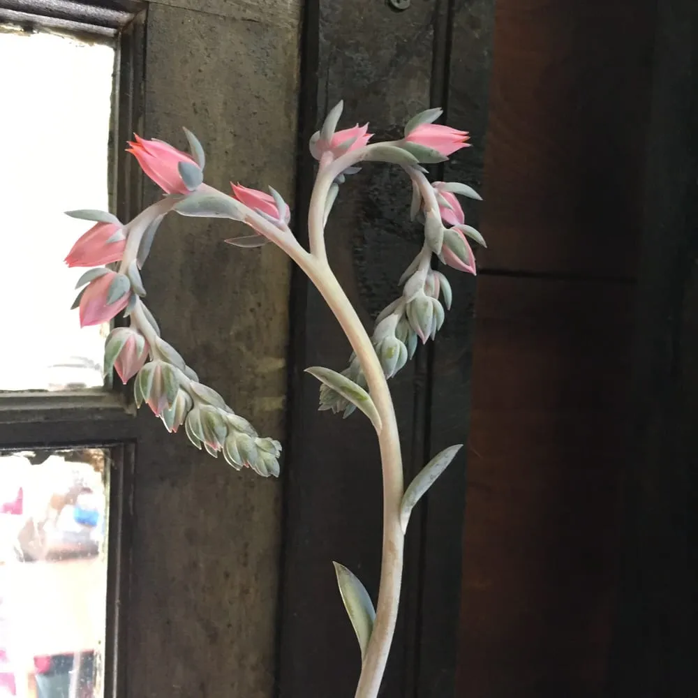 Custom landscaping services for residential properties across East Lyme, CT - Perennial Harmony