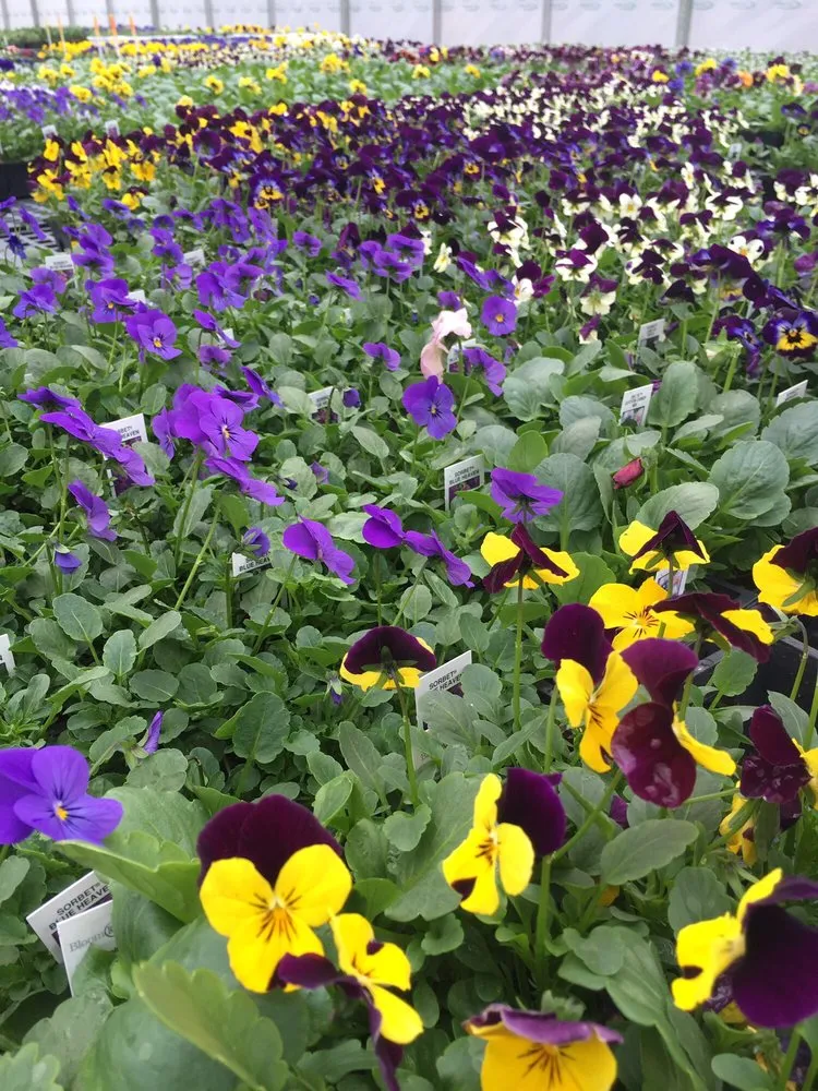 Custom landscaping services experts serving East Lyme, CT - Perennial Harmony