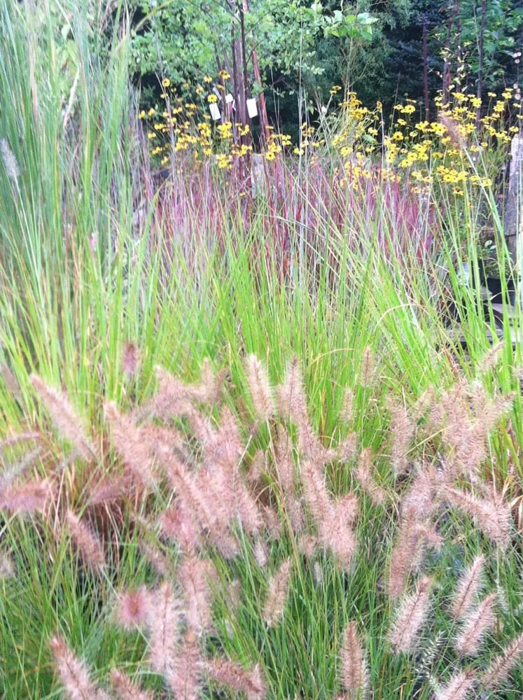 Reliable lawn care service for year-round maintenance across East Lyme, CT - Perennial Harmony