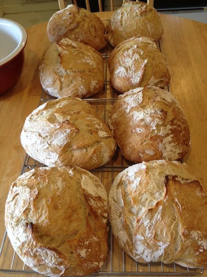 Local landscape design for residential properties in East Lyme, CT by Perennial Harmony