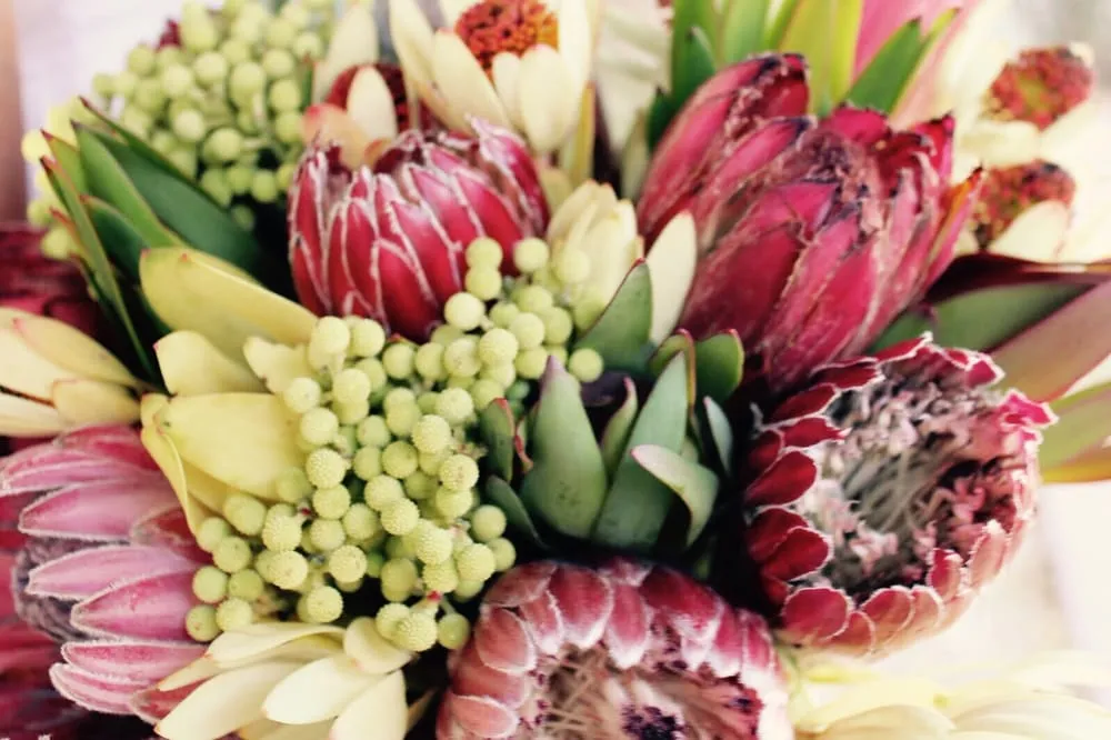 Local outdoor landscaping in East Lyme, CT - Perennial Harmony