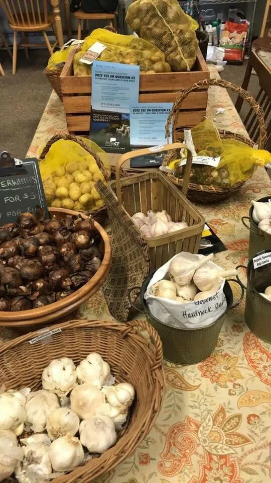 Affordable landscape installation for outdoor upgrades in East Lyme, CT by Perennial Harmony