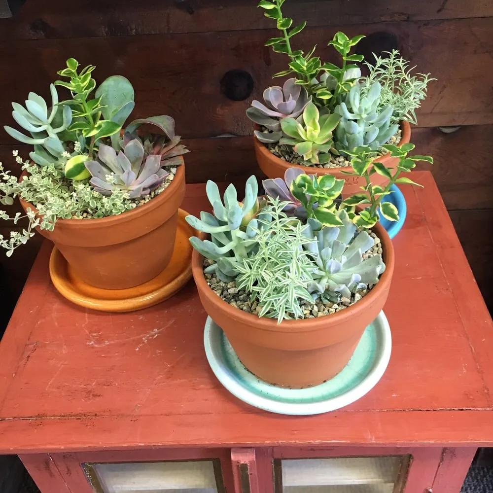 Affordable lawn care service in East Lyme, CT - Perennial Harmony