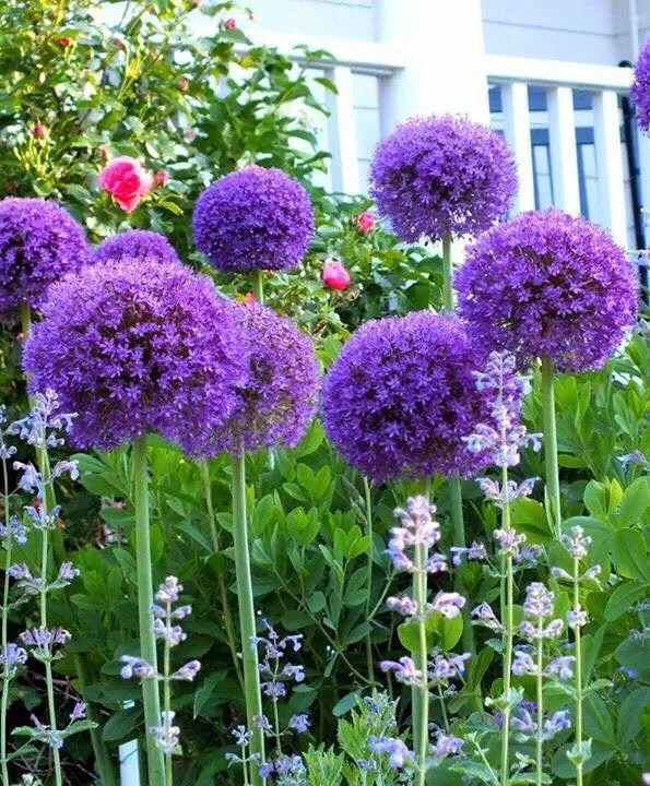 Trusted lawn mowing service experts serving East Lyme, CT - Perennial Harmony