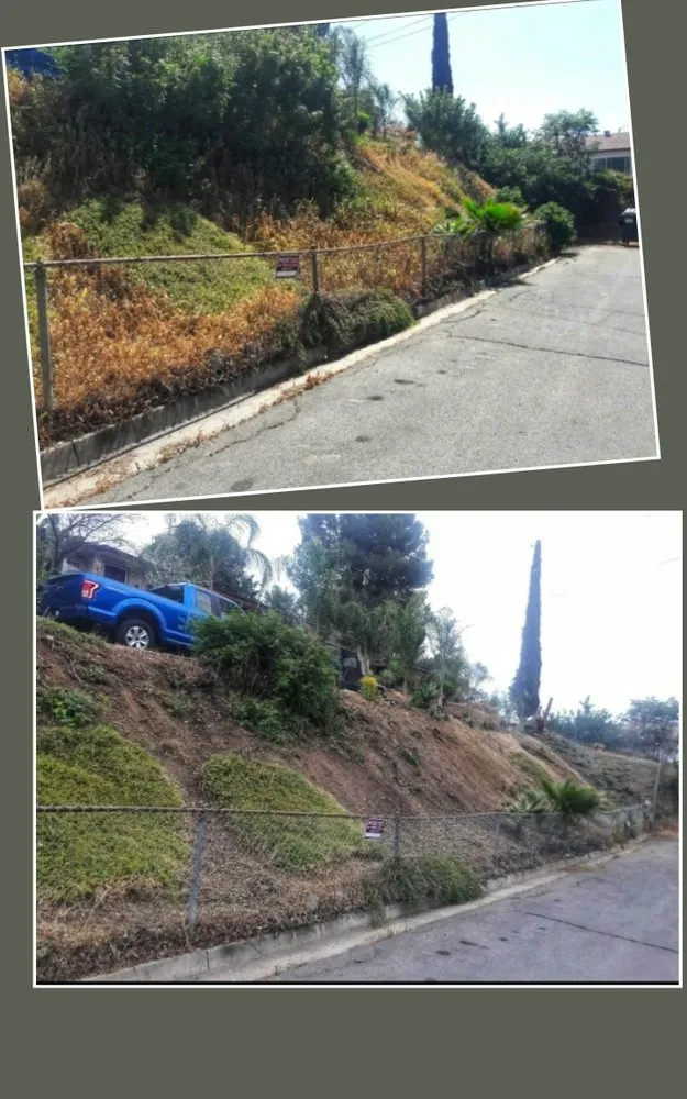 Affordable lawn mowing service for outdoor upgrades in El Cajon, CA by Perennial Landscape and gardening