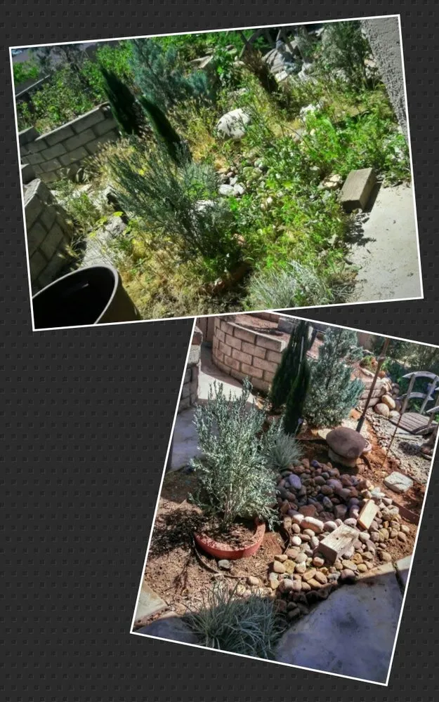 Top-rated outdoor landscaping for beautiful yards in El Cajon, CA by Perennial Landscape and gardening