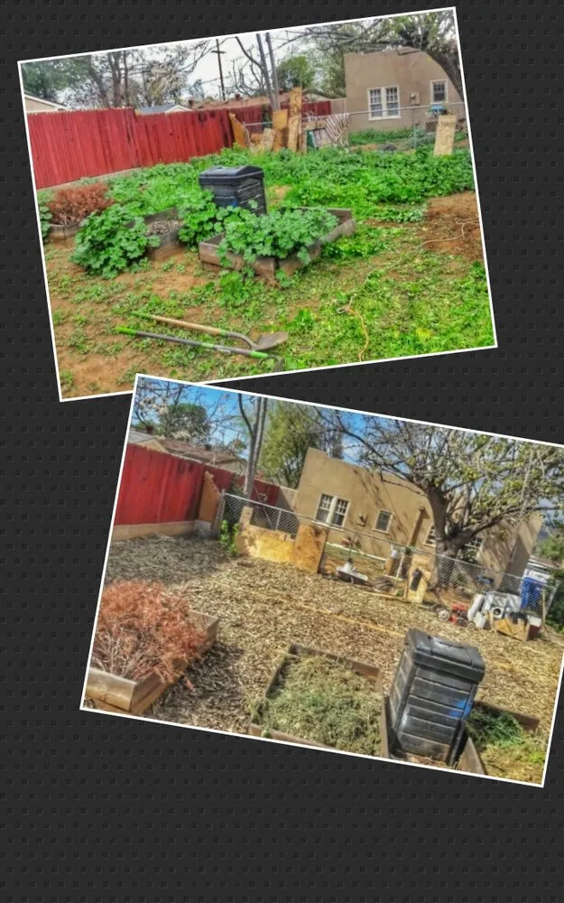 Professional outdoor landscaping in El Cajon, CA - Perennial Landscape and gardening